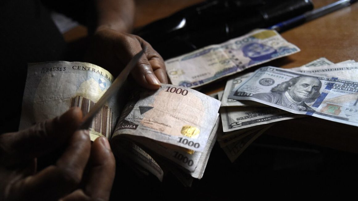 Nigeria Grapples with Currency Volatility as US Deputy Secretary calls for Economic Reforms