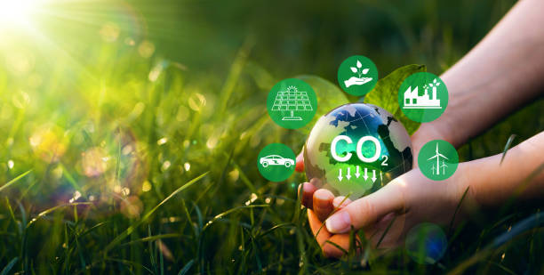 Unlocking Nigeria’s Carbon Market Opportunities for Sustainable Growth.