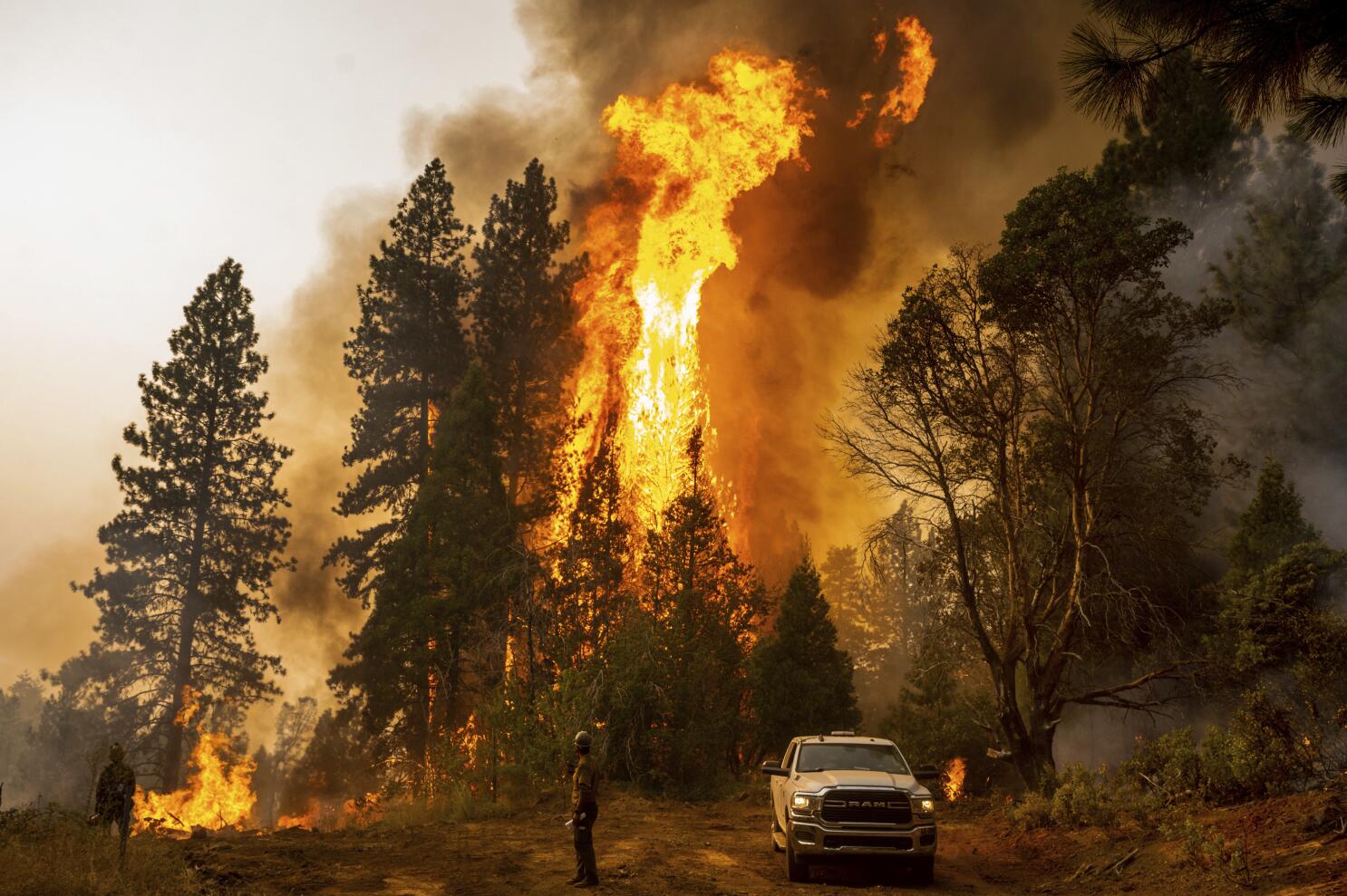 Almost 40% of land burned by western wildfires can be traced to carbon emissions