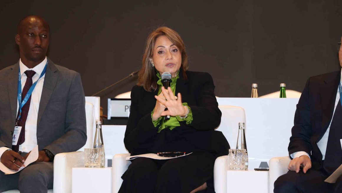 Private Sector calls on Governments to Fund Renewable Energy Projects