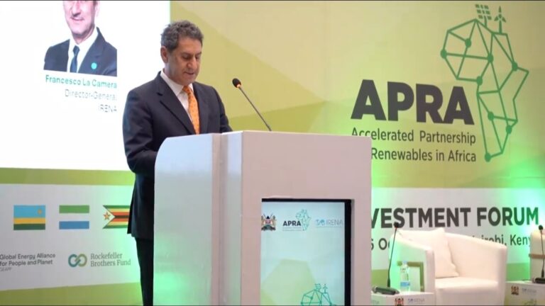 Francesco la Camera, Director General IRENA