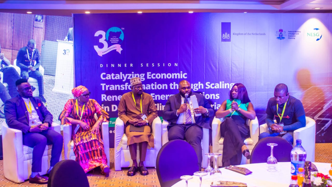 Empowering Nigeria’s Deprived Regions: Renewable Energy as the Key to Economic Transformation