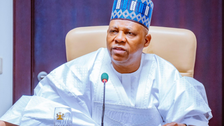 Vice President Kashim Shettima, represented by Senator Ibrahim Hadejia, Deputy Chief of Staff to the President