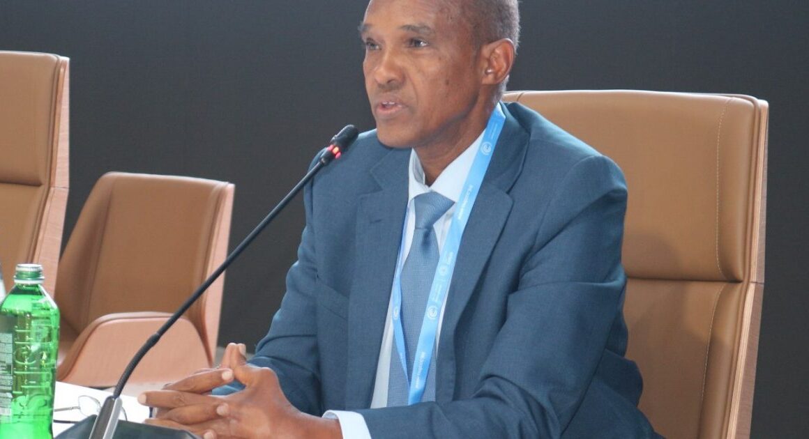Africa’s Strong Stand at COP29 – Demands for Equitable Climate Finance