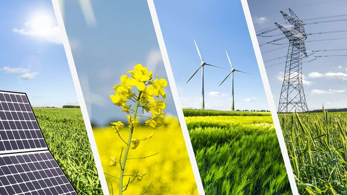 Renewables Boom Highlights Growing Regional Divide 